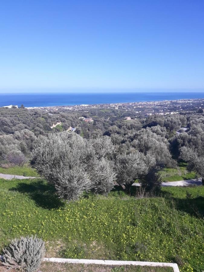 Alkyoni - Stavi'S Guesthouse Miloi  Bagian luar foto